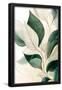 Essential Black