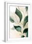 White Frame