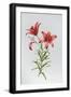 Black Frame