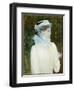 Sally Fairchild, C.1890-John Singer Sargent-Framed Giclee Print