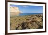 Sally Lightfoot Crab (Grapsus Grapsus), Moulted Exoskeleton at Punta Colorado, Baja California Sur-Michael Nolan-Framed Photographic Print