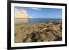 Sally Lightfoot Crab (Grapsus Grapsus), Moulted Exoskeleton at Punta Colorado, Baja California Sur-Michael Nolan-Framed Photographic Print