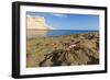 Sally Lightfoot Crab (Grapsus Grapsus), Moulted Exoskeleton at Punta Colorado, Baja California Sur-Michael Nolan-Framed Photographic Print