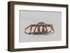 Sally lightfoot crab on white sandy beach. San Cristobal Island, Galapagos Islands, Ecuador.-Adam Jones-Framed Photographic Print