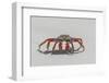 Sally lightfoot crab on white sandy beach. San Cristobal Island, Galapagos Islands, Ecuador.-Adam Jones-Framed Photographic Print