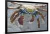 Sally Lightfoot Crab-DLILLC-Framed Photographic Print