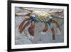 Sally Lightfoot Crab-DLILLC-Framed Photographic Print