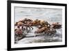 Sally Lightfoot Crabs Marching Together-DLILLC-Framed Photographic Print