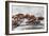 Sally Lightfoot Crabs Marching Together-DLILLC-Framed Photographic Print