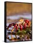 Sally Lightfoot Crabs, Puerto Egas, Galapagos Islands National Park, Ecuador-Stuart Westmoreland-Framed Stretched Canvas