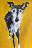 Terrier-Sally Muir-Stretched Canvas