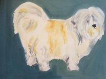 Terrier-Sally Muir-Framed Stretched Canvas