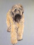 Terrier-Sally Muir-Stretched Canvas