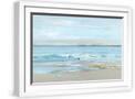 White Frame