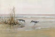 Sandpiper Beach II-Sally Swatland-Art Print