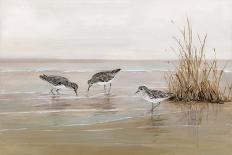 Sandpiper Beach II-Sally Swatland-Art Print