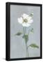 Essential Black