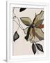 Gramercy White