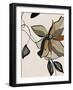 Chelsea Black