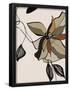 Essential Black
