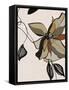Canvas Black
