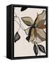 Canvas Black