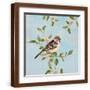 Brown Frame