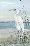 Summertime Heron II-Sally Swatland-Art Print