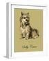 Sally The Cairn Terrier-Lucy Dawson-Framed Art Print