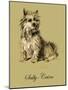 Sally The Cairn Terrier-Lucy Dawson-Mounted Art Print