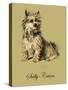 Sally The Cairn Terrier-Lucy Dawson-Stretched Canvas