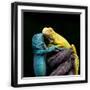 Black Frame