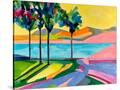 Stretched Canvas