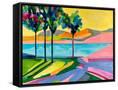 Canvas Black