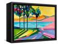 Canvas Black