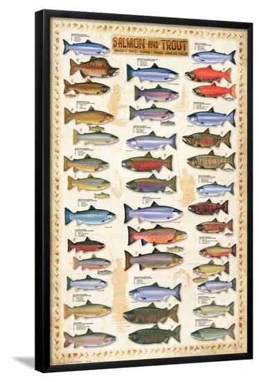 Poster, , large