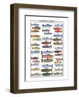 Salmon and Trout-null-Framed Art Print