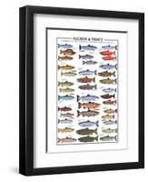 Salmon and Trout-null-Framed Art Print