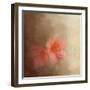 Salmon Azaleas-Jai Johnson-Framed Giclee Print