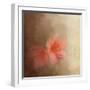 Salmon Azaleas-Jai Johnson-Framed Giclee Print