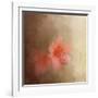 Salmon Azaleas-Jai Johnson-Framed Giclee Print