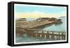 Salmon Cannery, Astoria, Oregon-null-Framed Stretched Canvas