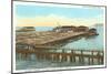 Salmon Cannery, Astoria, Oregon-null-Mounted Art Print