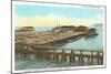 Salmon Cannery, Astoria, Oregon-null-Mounted Art Print