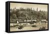 Salmon Cannery on the Columbia River in Oregon, 1880s-null-Framed Stretched Canvas