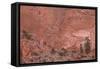 Salmon-Colored Sandstone Wall with Evergreens-James Hager-Framed Stretched Canvas