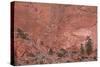 Salmon-Colored Sandstone Wall with Evergreens-James Hager-Stretched Canvas