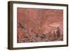 Salmon-Colored Sandstone Wall with Evergreens-James Hager-Framed Photographic Print