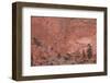 Salmon-Colored Sandstone Wall with Evergreens-James Hager-Framed Photographic Print