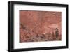 Salmon-Colored Sandstone Wall with Evergreens-James Hager-Framed Photographic Print